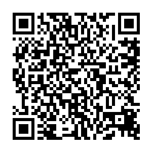 还有无数的南方中小型家族和大量的散修也就在这几日就会陆续进入望仙城二维码生成