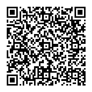 还有没有完全融化在血水里的那个人戴着的眼镜盒身上的部分衣服与随身携带的几个银币和金币……二维码生成