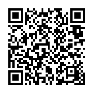 还有点瞧不起秦林这样一位又年轻又是锦衣武官出身的钦差二维码生成
