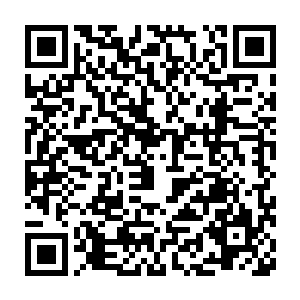 还有生活在这里那么多在人类世界里濒临灭绝或者是已经灭绝的生物二维码生成