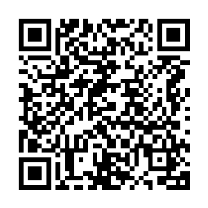 还有的玄器具备更为神奇的功效……天荒世界的玄器多种多样二维码生成