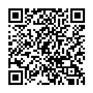 还有苏小爱微微仰着头对着凌冽嘟着嘴一副索吻模样的照片二维码生成