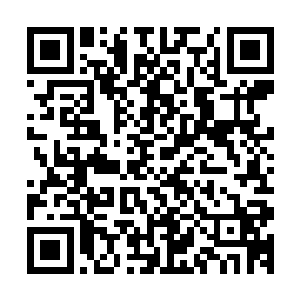 还有那些沾满自己血手印的砖头……以及他们以前犯下的案底二维码生成