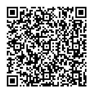 还有那些经典电影在他的脑海里本就已经有了一个甚至可供直接抄袭和复制的无比优秀和经典的模板的优势二维码生成