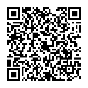 还有那当初跟在他们后面的数万海族修士竟然不受绿儿仙阵的控制二维码生成