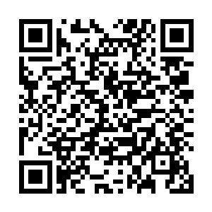 还有院门外影影绰绰一时半会儿数不清人数的锦衣校尉二维码生成