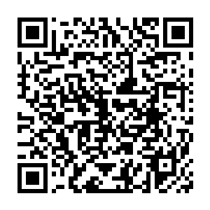 还未完全掌握大圆满力量的血卫被一爪撕成粉碎不过是意料之中的事情二维码生成