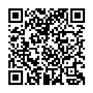 还没有办法彻底的将这生的力量彻底的转化成为我身体的一部分二维码生成