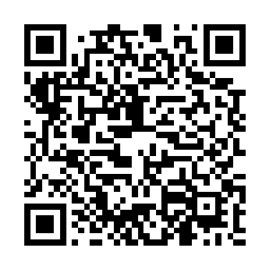 还没有资格问我是谁……回去告诉你们张家的长辈二维码生成