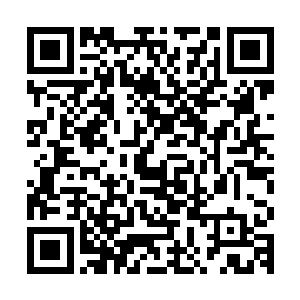 还没等我联系张处长让他按照我和女鬼约定的时间再次提审鞠杰二维码生成