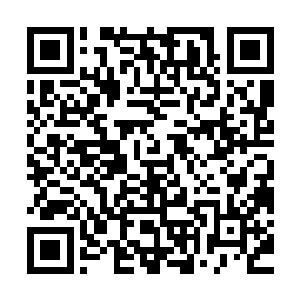 还没问一下这位萧……萧什么小兄弟的家族是经营什么生意的啊二维码生成