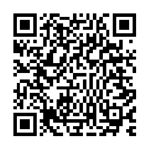 还用充满爱慕的眼神看着我爸比……我爸比也看到狐狸精……二维码生成
