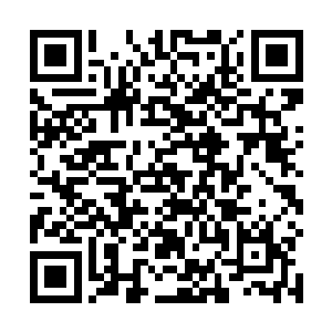 还真没法看到这些细密的绒毛之下已经快要消失的伤痕二维码生成