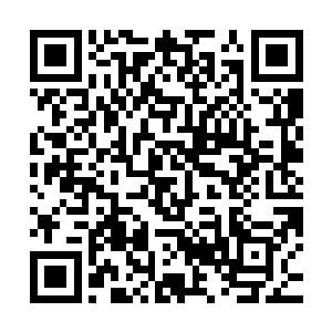 还等你们公司资金回笼再回购股份……等你能攒够这笔流动资金二维码生成