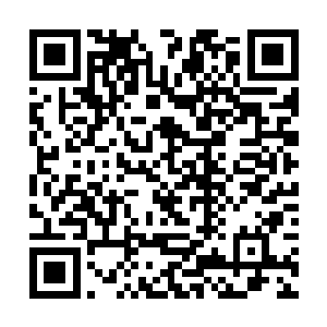 还能释放出类似天一御法一样的加持法术的真仙可比二维码生成