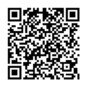 还记得上一次我们一起用膳已经是几个月以前了二维码生成