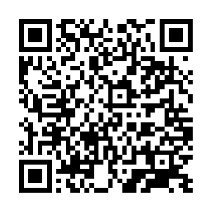 还记得吕轻尘如何会变成现在这样人不人鬼不鬼的形态吗二维码生成