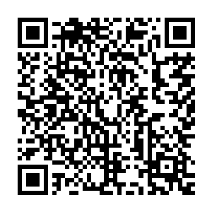 还记得师父跟你提起过我们门派还存在着一位掌门师叔祖的事情吧二维码生成