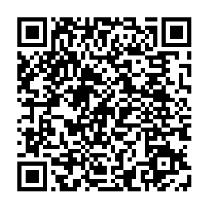 还记得当时第七战将月谷亲口说这股力量被中心省规定了不许在下界使用二维码生成