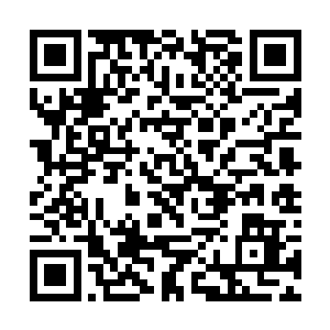 还记得我们第一次在梅园相见时你递给我灯笼的事吗二维码生成