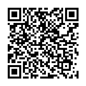 还说下周五一放假过后的五四晚上要在我们学校开演唱会呢二维码生成