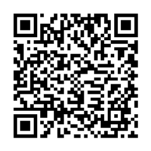 还说不是 你是不是拿人钱了 人家是不是让你來杀我 二维码生成