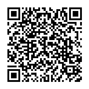还请娘娘不要建议……其实同治皇帝她至始至终只喜欢娘娘你一个二维码生成