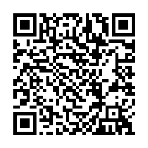 还请秦先生和华夏中医代表团诸位同仁务必参加二维码生成