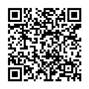 还非要等到最后一秒才按计时器……你以为这是打篮球投压哨么二维码生成