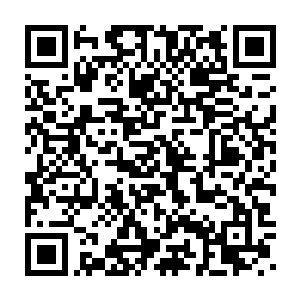 这……这些……都是你专门为我……为我一个人特意定制的复习计划二维码生成