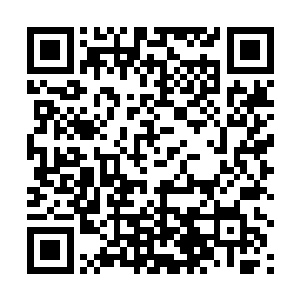 这……这是……主宰神兵……物质进攻型主宰神兵……二维码生成