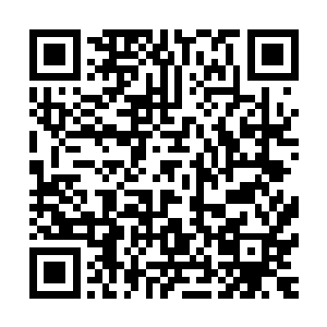 这一下子使得小金在许德拉心中的地位再一次上升了几个台阶二维码生成
