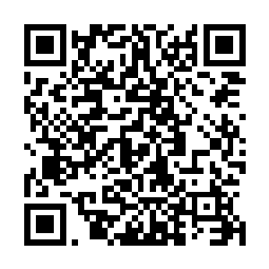 这一下暴击让他的变异迅速的回到了变身前黑衣法师的模样二维码生成