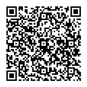 这一个综合性方案届时市政府会有一个总体性的大方案和若干个具体分方案要提交给市委和市人大进行审议二维码生成