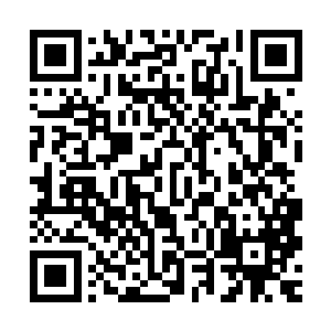 这一份稀奇果真不简单啊……没想到这里面除了罕见的阵灵之外二维码生成