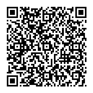 这一切 他沒有在地上滚 而是站在地上 脚下甚至是冒出了火花 他浑身鲜血 之前的那一掌更是让他手臂颤抖二维码生成