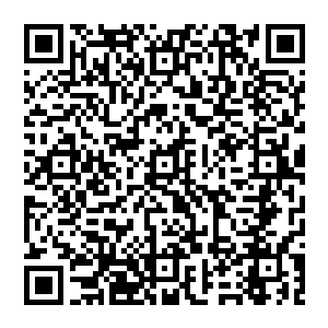 这一切 直让一旁的圣皇子目瞪口呆 他呆呆的看着风清扬 似乎对于他所知道的一切都感到无比吃惊二维码生成