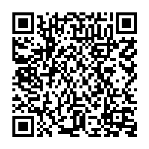 这一切　说起來慢　实则只是发生在短短几息之间　速度快到了极点　堪称恐怖二维码生成