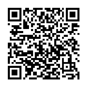 这一切的一切看起来与兵主曾经的表现是那样的不相符二维码生成