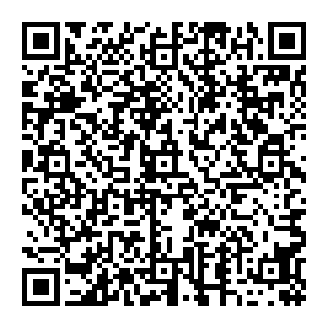 这一切说起來很是缓慢可实际上发生几乎就在电光火石之间快到了极点当着爆字一出之后覆盖归元神宗宗主的大手轰然爆开二维码生成