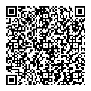 这一刻 他就像是大师 一代切石大师 身上绽放的气势似乎能够蜂蜜天下 他只是一抬手 一旁的老猴子就看出了不凡二维码生成