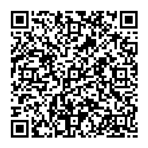 这一刻 原本就遭受了重创的法身再也无法维持 轰然溃散 化作一白衣青年从空中跌落 狠狠的砸在地上二维码生成