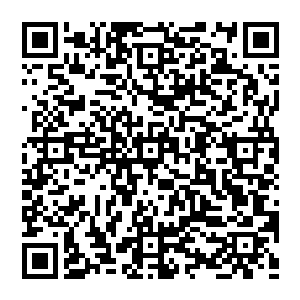 这一刻 闪躲不及的一些修士 顿时被吞沒 甚至惨叫都沒传來 便被呼啸而來的若水吞噬 一点渣都不曾留下二维码生成