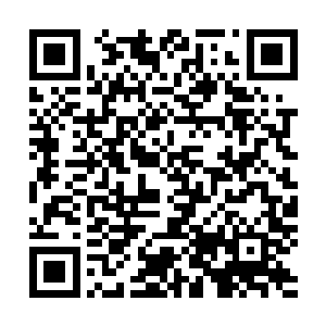 这一刻他们追逐的已经不是校园歌手大赛的冠军这么简单了二维码生成