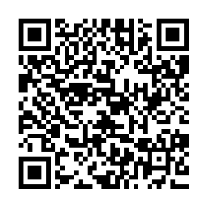 这一刻他才发现原来这修炼界还远远不似自己看到的这么简单二维码生成