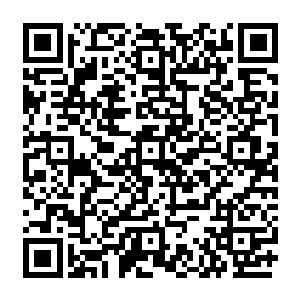 这一刻开始在那不断围绕着我旋转的古符文刹那之间也开始围绕着那鬼气手掌不断旋转二维码生成