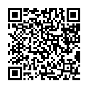 这一刻的司徒波已然将死在张雄等人手底下的帮众忘得一干二净二维码生成