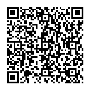 这一刻终于明白为什么刚才自己会感到他方凌会被那树枝所化的金色凤凰打飞而不受伤二维码生成
