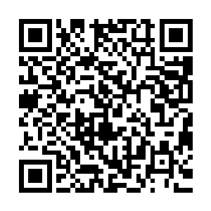 这一场战斗持续了一刻钟之后才在两人舒畅的表情下落下了帷幕二维码生成