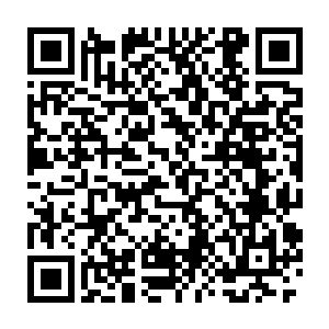 这一场看似云淡风轻的纷争或许只有我和苗翠翠才感觉得到其中的微妙二维码生成